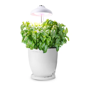 augti šviesos lempos aukštis reguliuojamas patalpų sodo augalų šviesos gėlių etape augalams augti žiburiai su smart vazonas